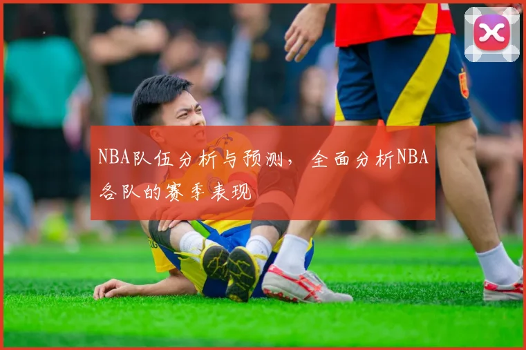 NBA队伍分析与预测，全面分析NBA各队的赛季表现