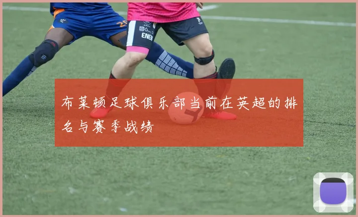 布莱顿足球俱乐部当前在英超的排名与赛季战绩