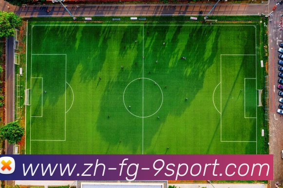 J9九游发展历程